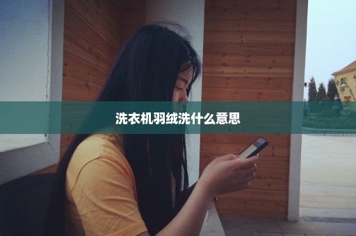 洗衣机羽绒洗什么意思