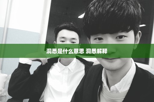洞悉是什么意思 洞悉解释