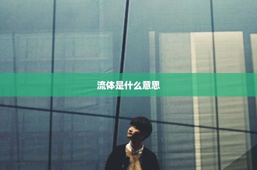 流体是什么意思