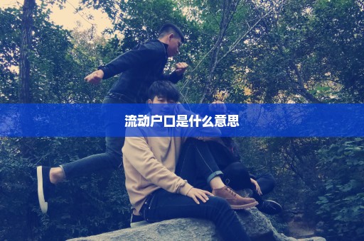 流动户口是什么意思
