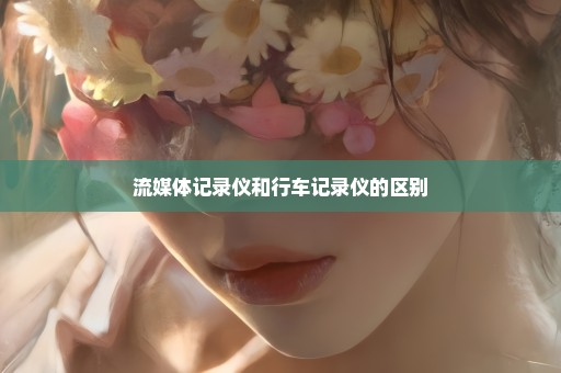 流媒体记录仪和行车记录仪的区别