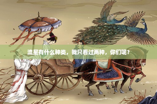 流星有什么种类，我只看过两种，你们呢？