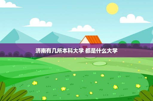 济南有几所本科大学 都是什么大学