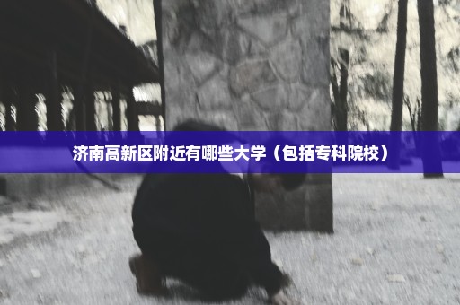 济南高新区附近有哪些大学（包括专科院校）