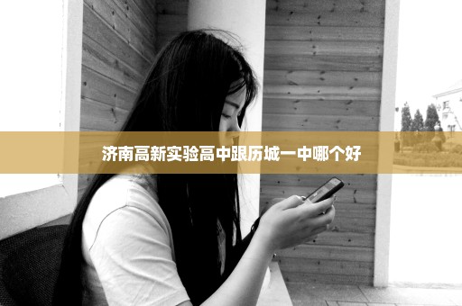 济南高新实验高中跟历城一中哪个好