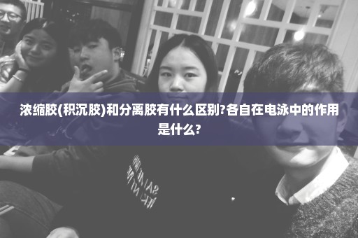 浓缩胶(积沉胶)和分离胶有什么区别?各自在电泳中的作用是什么?
