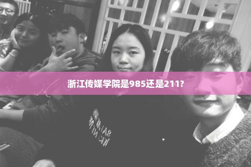 浙江传媒学院是985还是211?