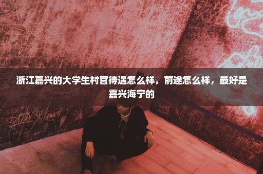 浙江嘉兴的大学生村官待遇怎么样，前途怎么样，最好是嘉兴海宁的