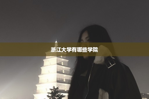 浙江大学有哪些学院