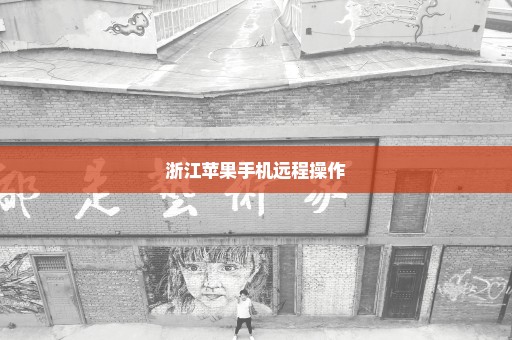 浙江苹果手机远程操作
