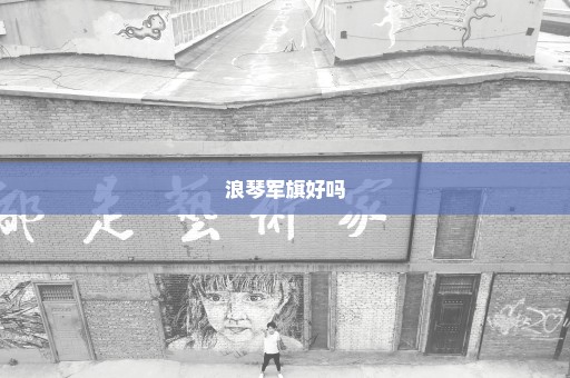 浪琴军旗好吗