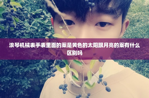 浪琴机械表手表里面的案是黄色的太阳跟月亮的案有什么区别吗
