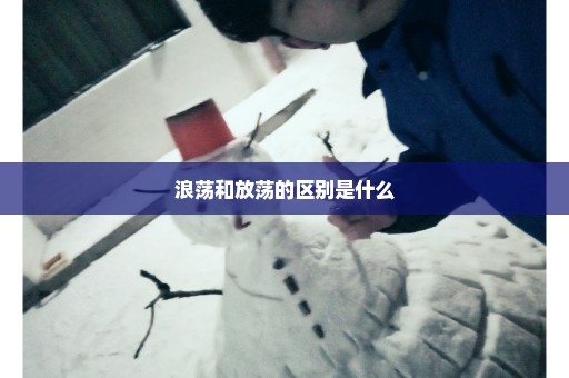 浪荡和放荡的区别是什么