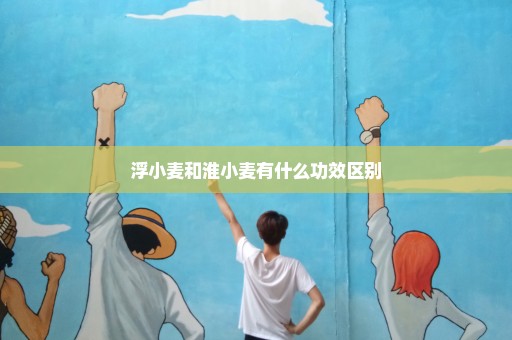 浮小麦和淮小麦有什么功效区别