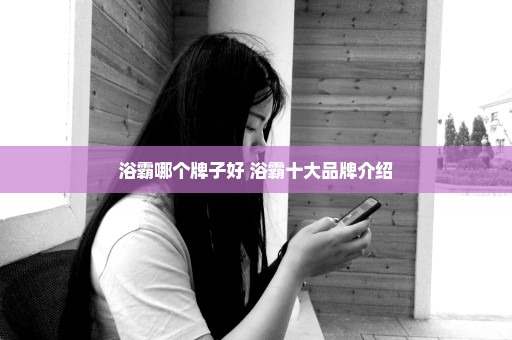 浴霸哪个牌子好 浴霸十大品牌介绍
