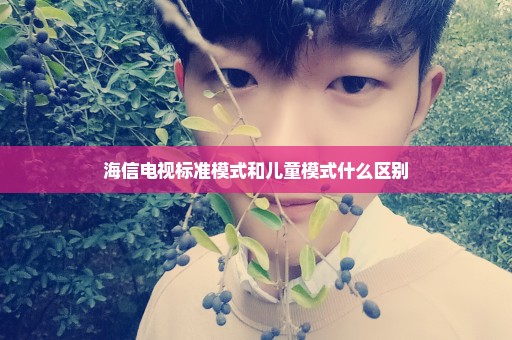 海信电视标准模式和儿童模式什么区别