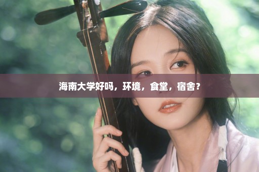 海南大学好吗，环境，食堂，宿舍？