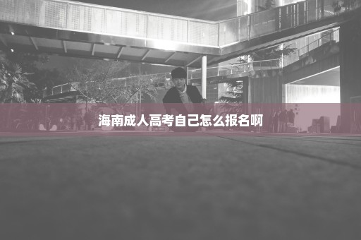 海南成人高考自己怎么报名啊