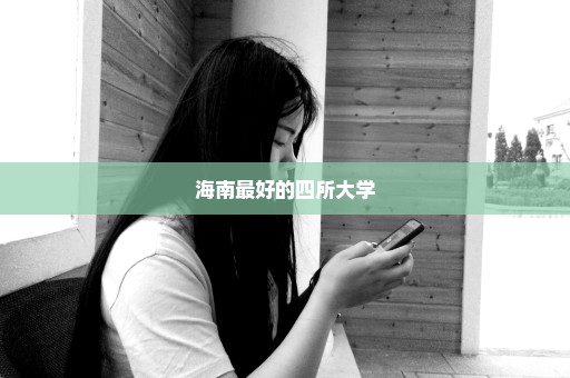海南最好的四所大学