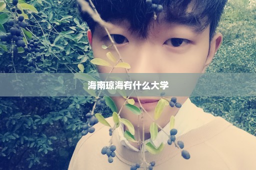 海南琼海有什么大学