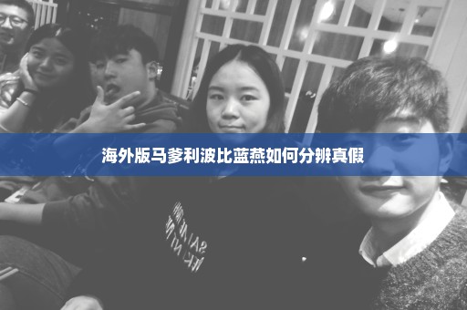 海外版马爹利波比蓝燕如何分辨真假