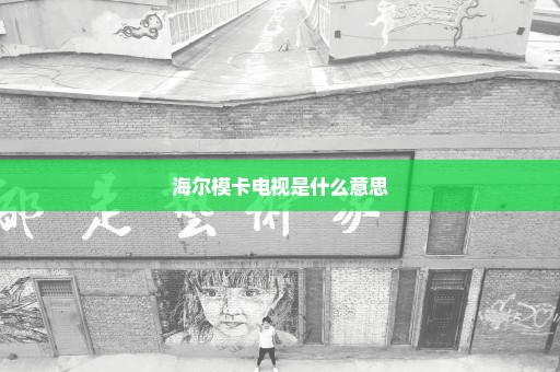 海尔模卡电视是什么意思