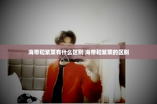 海带和紫菜有什么区别 海带和紫菜的区别