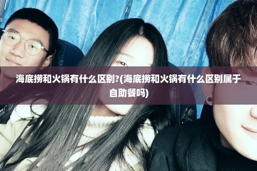 海底捞和火锅有什么区别?(海底捞和火锅有什么区别属于自助餐吗)