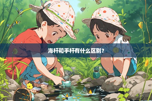 海杆和手杆有什么区别？