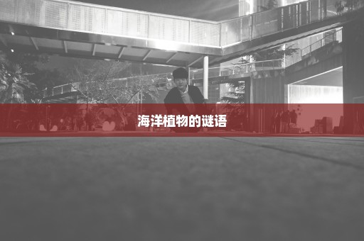 海洋植物的谜语