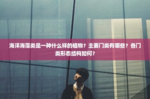 海洋海藻类是一种什么样的植物？主要门类有哪些？各门类形态结构如何？