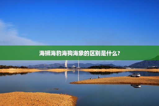 海狮海豹海狗海象的区别是什么?