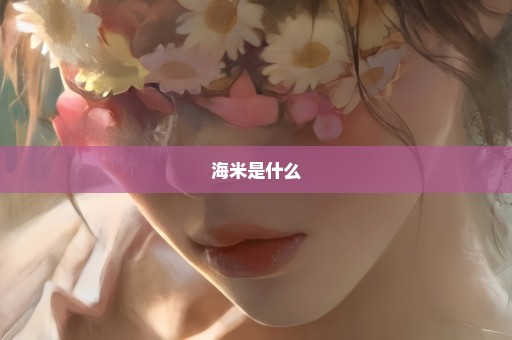 海米是什么