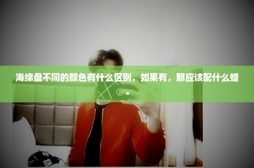 海绵盘不同的颜色有什么区别，如果有，那应该配什么蜡。
