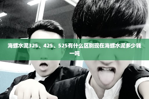 海螺水泥325、425、525有什么区别现在海螺水泥多少钱一吨