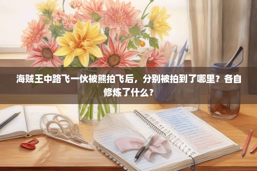海贼王中路飞一伙被熊拍飞后，分别被拍到了哪里？各自修炼了什么？