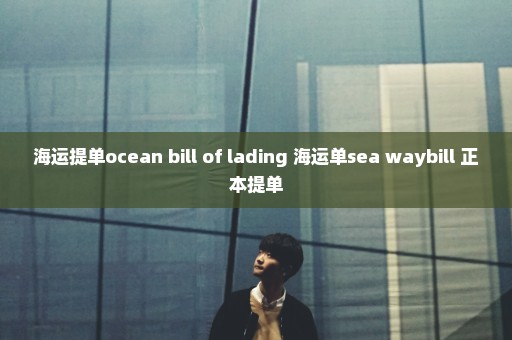 海运提单ocean bill of lading 海运单sea waybill 正本提单