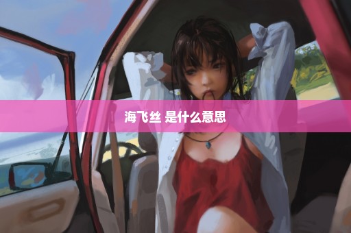 海飞丝 是什么意思