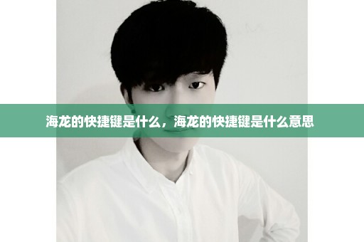 海龙的快捷键是什么，海龙的快捷键是什么意思 