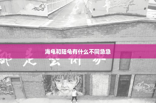 海龟和陆龟有什么不同急急