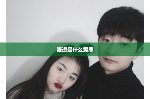 浸透是什么意思