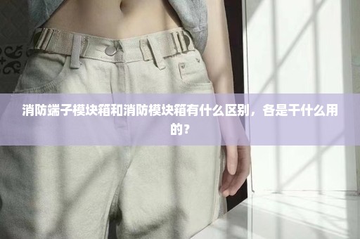 消防端子模块箱和消防模块箱有什么区别，各是干什么用的？