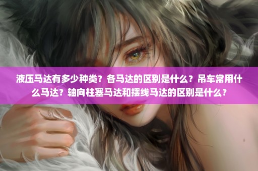 液压马达有多少种类？各马达的区别是什么？吊车常用什么马达？轴向柱塞马达和摆线马达的区别是什么？