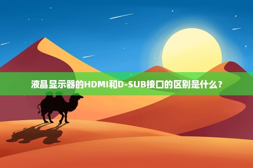 液晶显示器的HDMI和D-SUB接口的区别是什么？