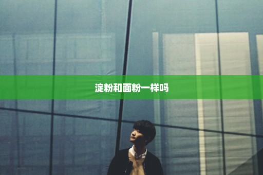 淀粉和面粉一样吗