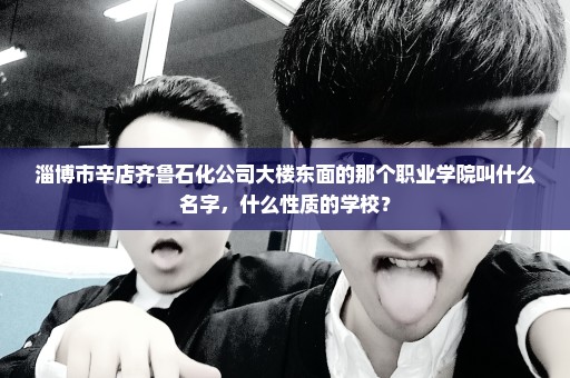淄博市辛店齐鲁石化公司大楼东面的那个职业学院叫什么名字，什么性质的学校？