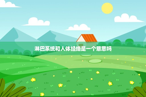 淋巴系统和人体经络是一个意思吗