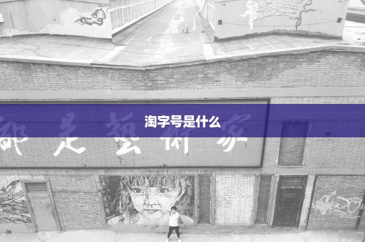 淘字号是什么