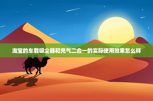 淘宝的车载吸尘器和充气二合一的实际使用效果怎么样
