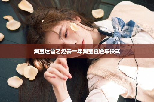淘宝运营之过去一年淘宝直通车模式